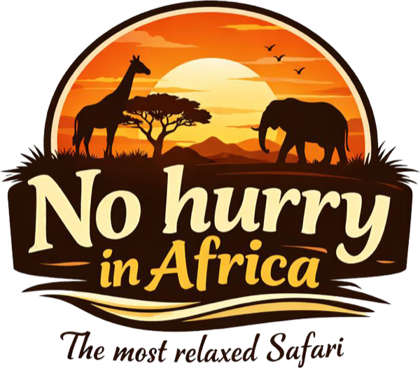 No Hurry in Africa logo